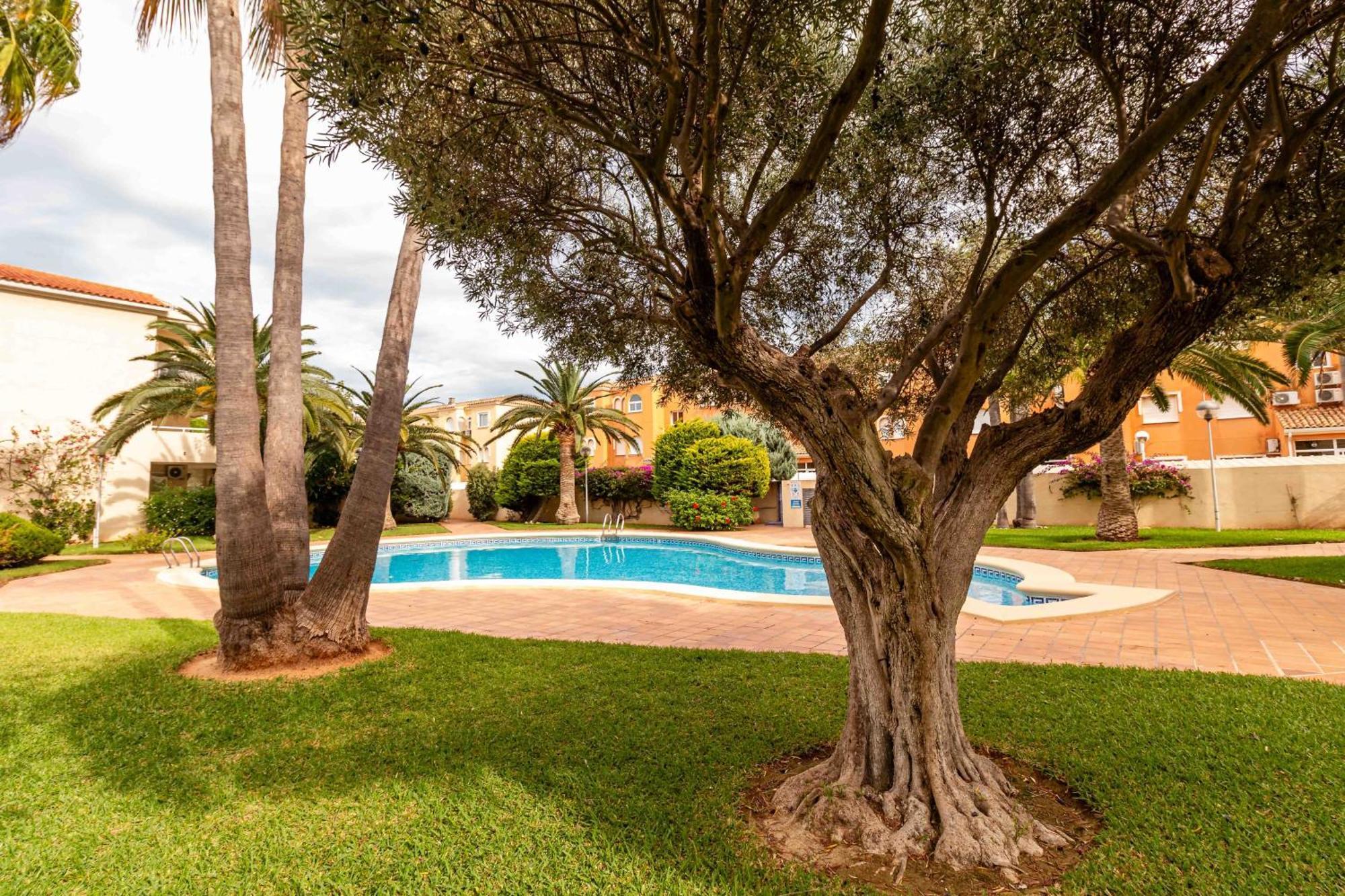 Premium Piscina Y Playa